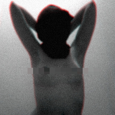 PERRO NEGRO