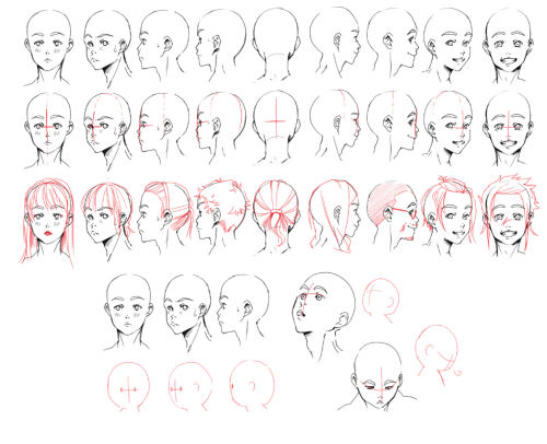 japh-rost:starshyp:emdeme-sideblogginit:discopogoxbtt:abbydoodles:Head &amp; neck anatomy sheets by 