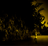 rebellqueen:    Goodbye Lullaby Music Video’s                  ∟  Alice