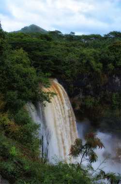 sav3mys0ul:  coprophagic: clitography: Wailua Falls 