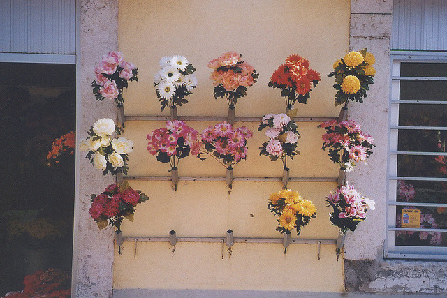 gildings:  (via Untitled | Flickr - Photo Sharing!) 
