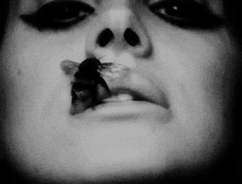 Lovers and lies.