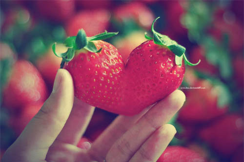 susurros:  Podría devorarte el corazón y beber el néctar de tus labios, para caminar