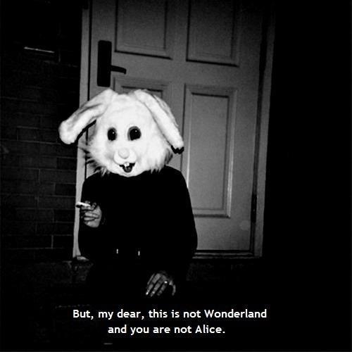 http://vida-poesia-crua.tumblr.com/post/22295145875