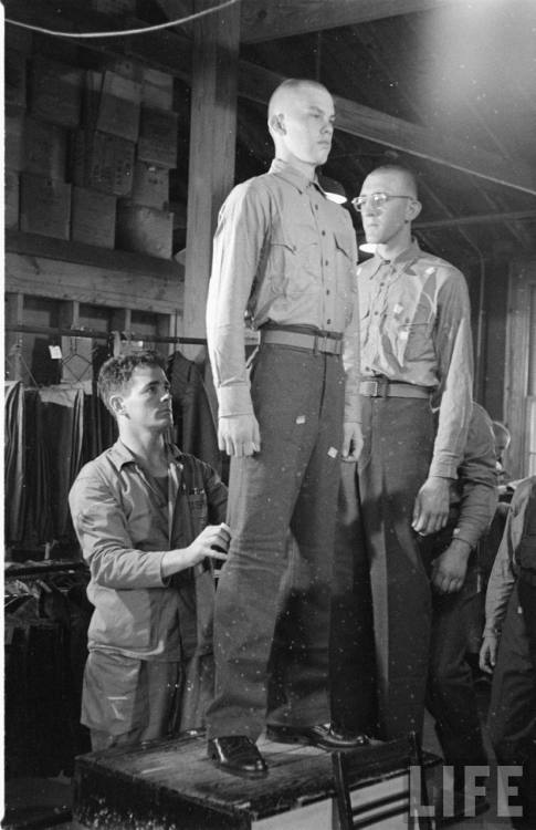 1bohemian:   Marine Boot Camp - Mark Kauffman 1951