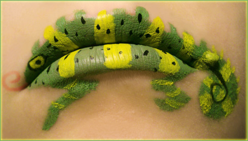 slugbunny:  viridis-somnio Such a cutie!  