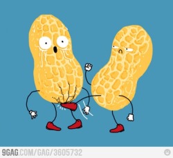 9gag:  In the nuts 