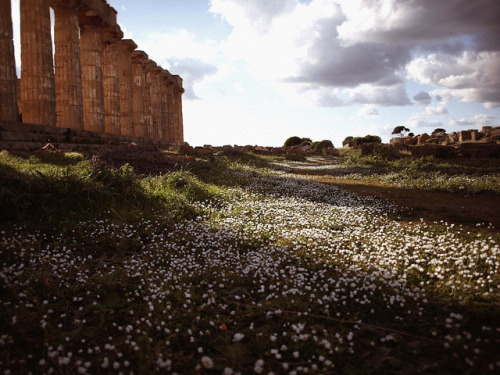 isebrand: Spring time in Sicily by LuisC-H on Flickr.