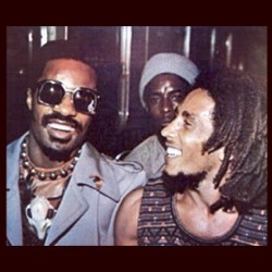 Stevie Wonder, Bob Marley and some dude who