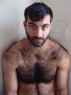 hairydaddy