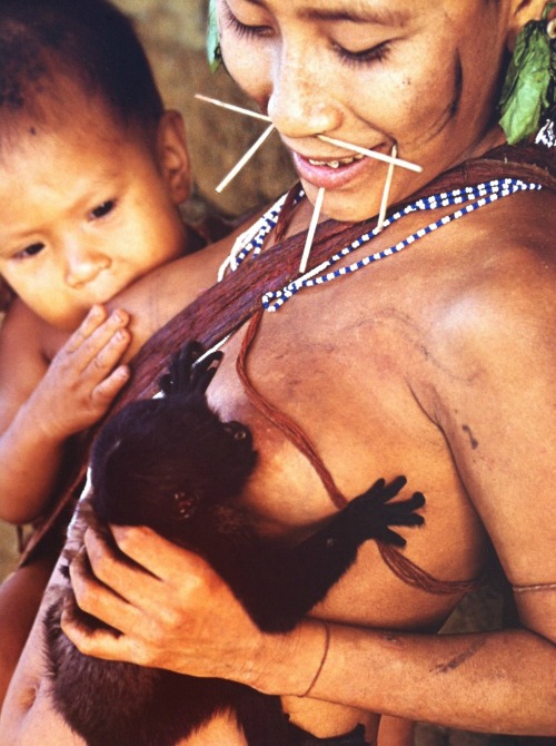 callthemidwife:  Yanomami mother breastfeeding her child and an orphaned monkey Hard Rain Exhibition
