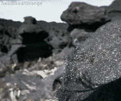 the-absolute-best-gifs:  headlikeanorange: The Pebble Toad from Venezuela is hunted