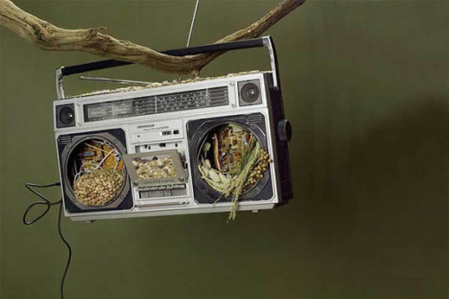 jadeyeux:  Boombox bird feeder