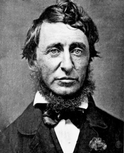 fuckyeahhistorycrushes:  This, my friends, is Henry David Thoreau, aka the most awesome man ever. Thoreau was an author, philosopher, transcendentalist (he was good friends with Ralph Waldo Emerson), and all-around badass. Plus, he had a neck beard. His
