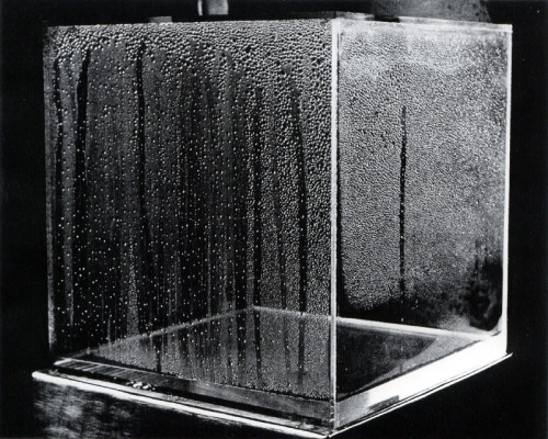 Hans Haacke’s condensation cube.