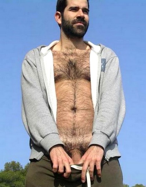 B-B-B-Bears!