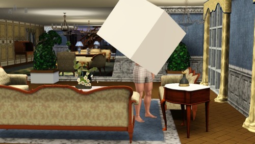 simsgonewrong:When he answered the phone, he was suddenly boxed in, if you know what I mean.