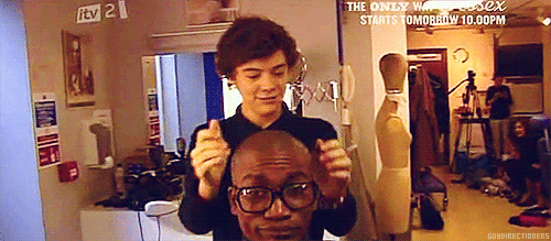 1ders-of-the-world:  thecheshire-king:  youwantaspringrollbebz:  Harry being stupid since forever. lol  his hair tho, its so funny to me   omg Harry’s hair is a lil fuzz ball :’) 