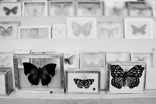 kochac-znaczy-zyc.tumblr.com/post/62721208718/