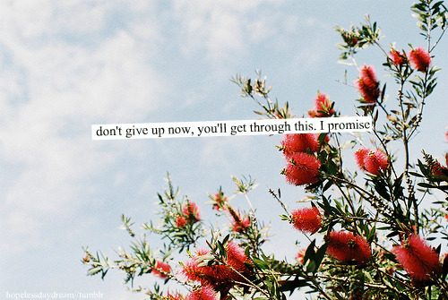 DO I WANNA KNOW?