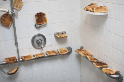 thehungrygamez:  darkfuse:  bopx:  glsases:  chuckle-w0rthy:  i hope the shower isn’t too toasty for you  this is my favourite picture on the internet  I hope hundreds of years later this picture is found completely out of context by anthropologists
