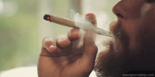 weedporndaily:like silk