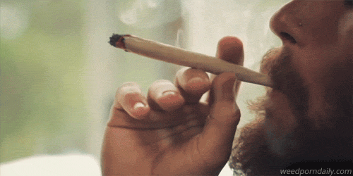 weedporndaily:like silk