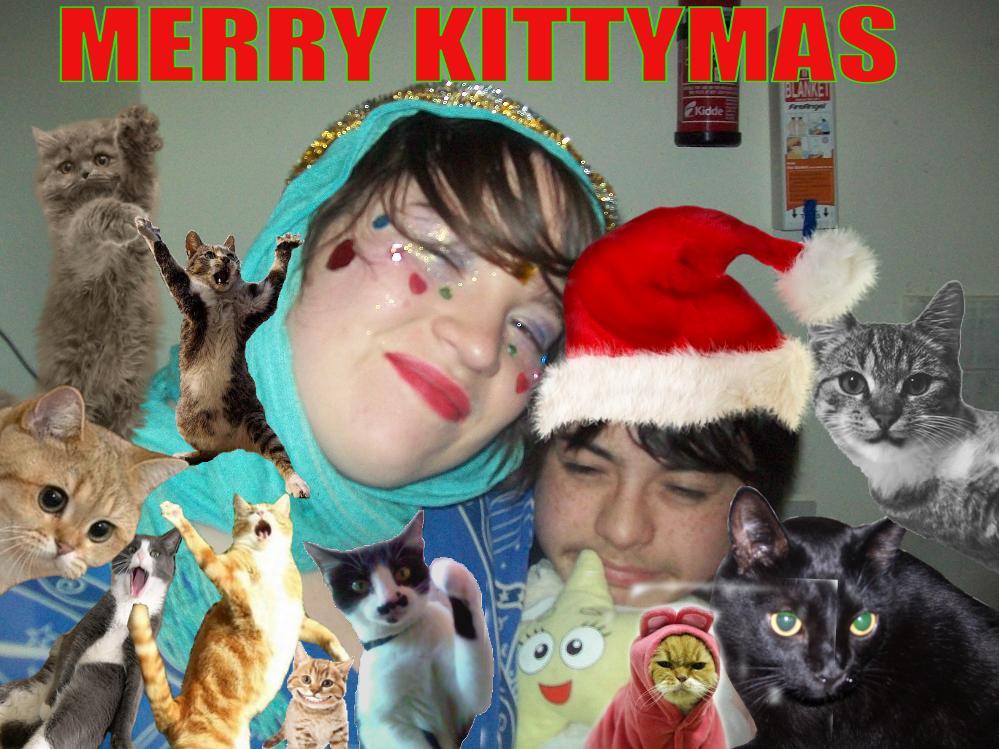 insulin-jizz:  a series of cat pictures of mine featuring me, Alex De Roeck, Stephen