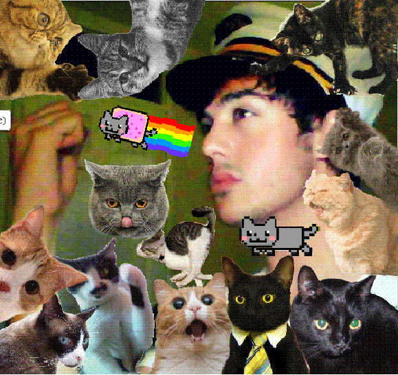 insulin-jizz:  a series of cat pictures of mine featuring me, Alex De Roeck, Stephen