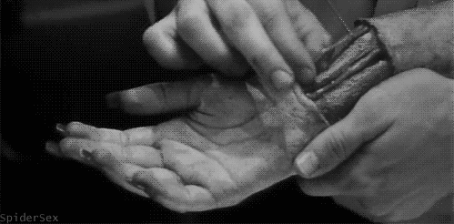 Ad libitum
