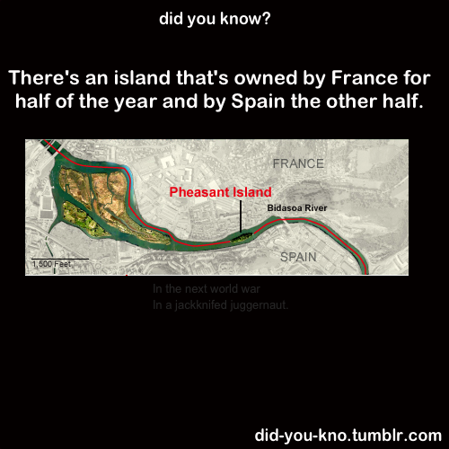 did-you-kno:  Source 