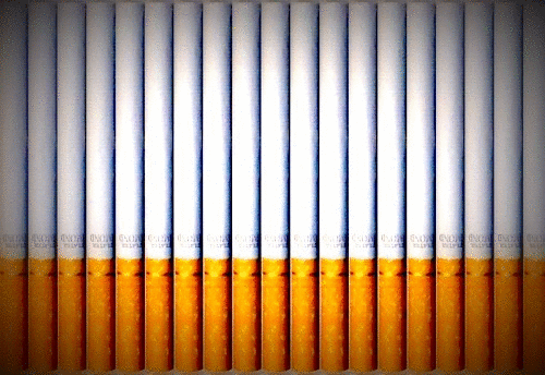 What do you see?