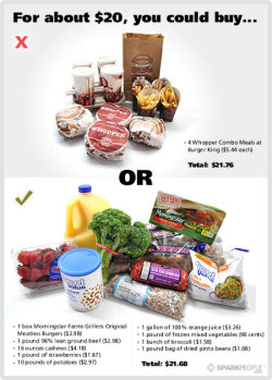 little-kitten-doll:  fast-and-fit:  THIS  To everyone who says it’s too expensive to eat on a budget. 