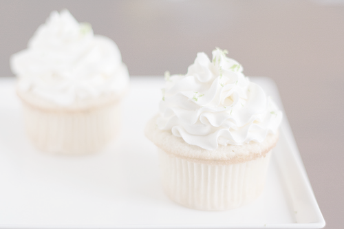 Guaranteed to be the most beautiful blog on your dash.