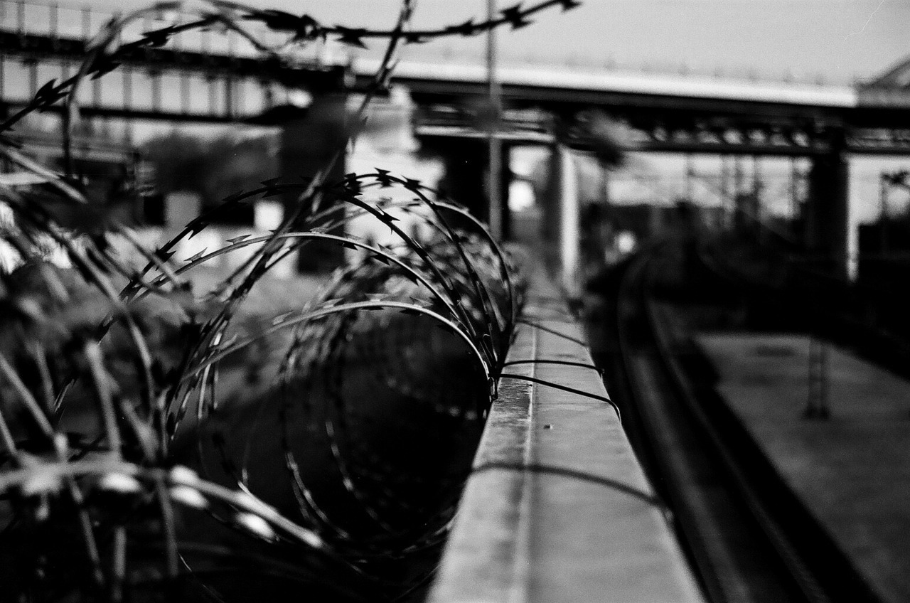 roybusch-photography:  Analogue Series Taken With Canon EOS 50e and Ilford HP5 400 35 mm
