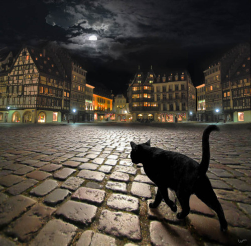 XXX bluepueblo:  Dark Night, Strasbourg, France photo