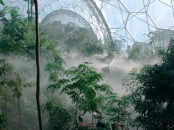 elhephant:  theartfulgarden:  The Eden Project is the largest plant enclosure in the world, built in the lightest and most ecological way possible. The project is situated in a 15-hectare landscaped site, formerly a worked-out Cornish clay pit.  indie/art