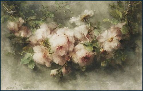 A Swag Of Pink Roses, Margaretha Roosenboom. Dutch (1843 - 1896)