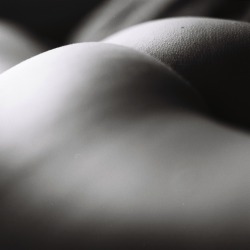 jiannanudepics19:  erotic curve