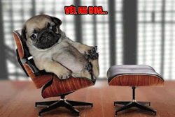 Sem-Hora:  [S-H] 