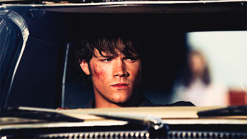 i aim to misbehave