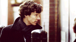 I'm not lonely, Sherlock!
