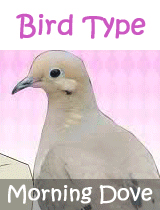 Bird Type: Morning Dove Best Friend: NagekiMarried to: NagekiHoneymoon: Wilderness#of Kids: PuddingCockblocked: Nageki ………………………………..okay 