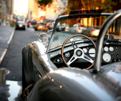 addpassion:  Shelby Cobra 