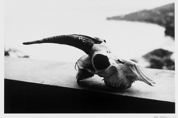 the valentine's day massacre;