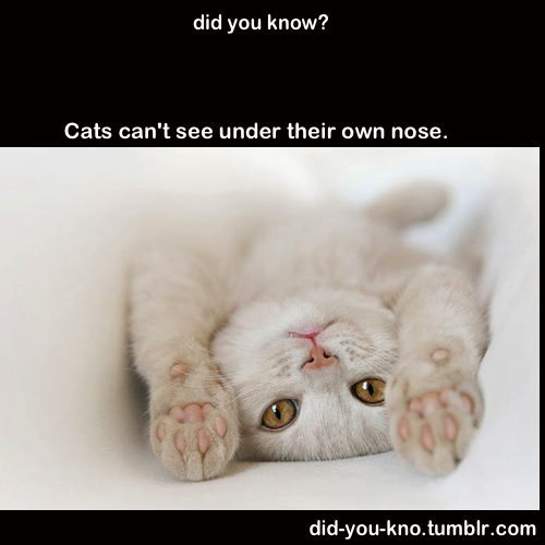 did-you-kno:  Source 1,2 