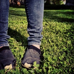 #Girl #Shoes #Feet #Iphoneography #Like #Unique #Toms #Old #Grass #Clover #Hipster