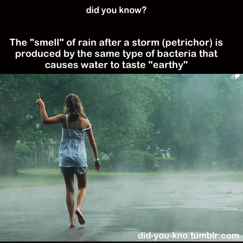 did-you-kno:  Source 