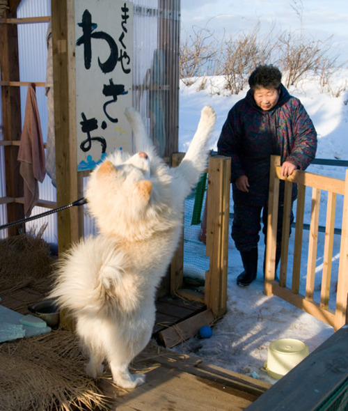 221cbakerstreet:diaphone:yay ur backPUP SO HAPPY