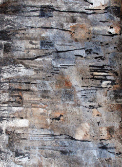 Sopra: Scott Bergey Sotto: muraglia di scisto